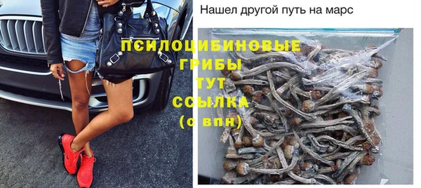 ПСИЛОЦИБИНОВЫЕ ГРИБЫ Магадан