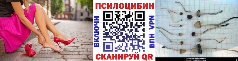 Галлюциногенные грибы Magic Shrooms Михайлов