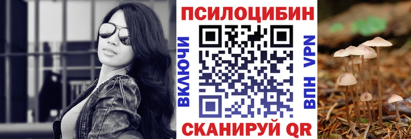 Галлюциногенные грибы Psilocybe  цены   shop какой сайт  Михайлов 